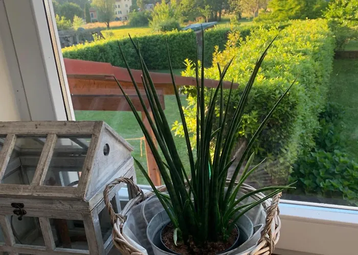 La Casina Di Verciano * Lucques